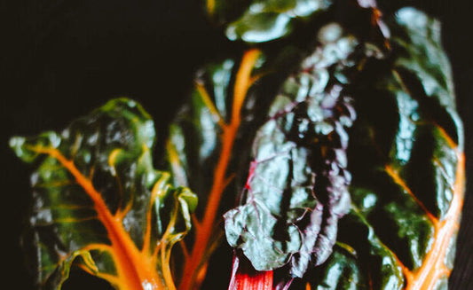 LEMON GARLIC CHARD