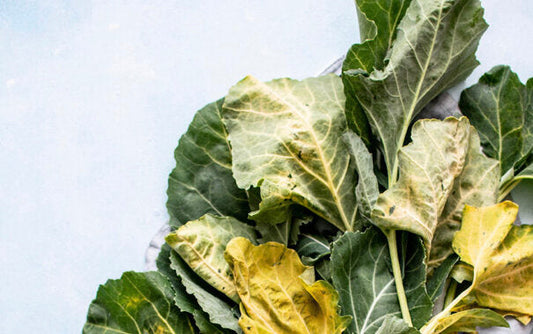 PICKLED KOHLRABI